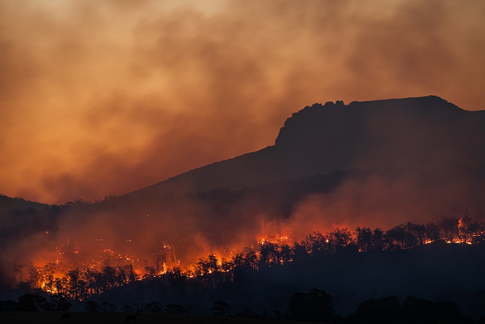 Wildfire burning across a hillside at night